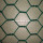 1/2 &#39;&#39; malla de alambre hexagonal revestida de PVC